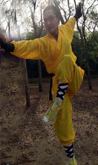 Sifu Zhao Hui Shaolin Kung Fu Instructor